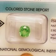 260_Tsavorite_Mint_Garnet_1